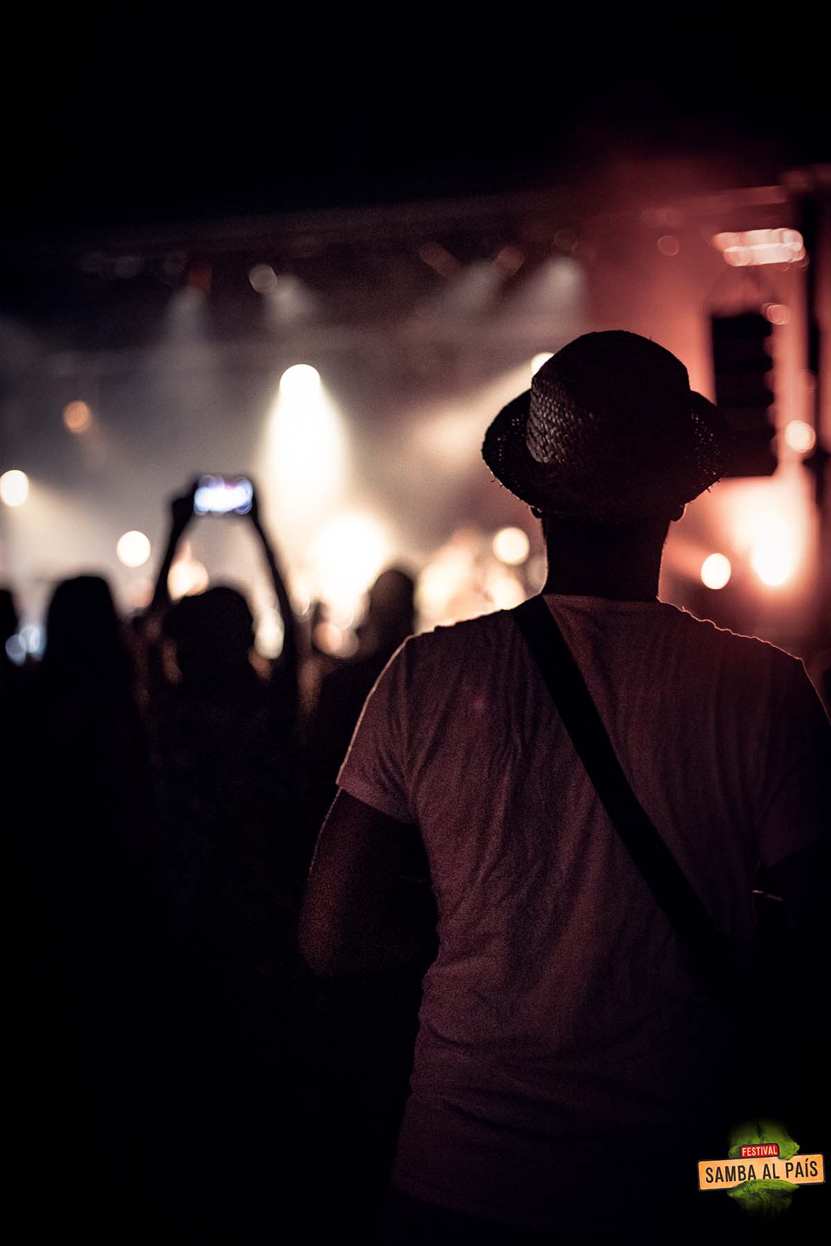Un homme vu de dos portant un chapeau de paille regardant un concert la nuit à Samba al País